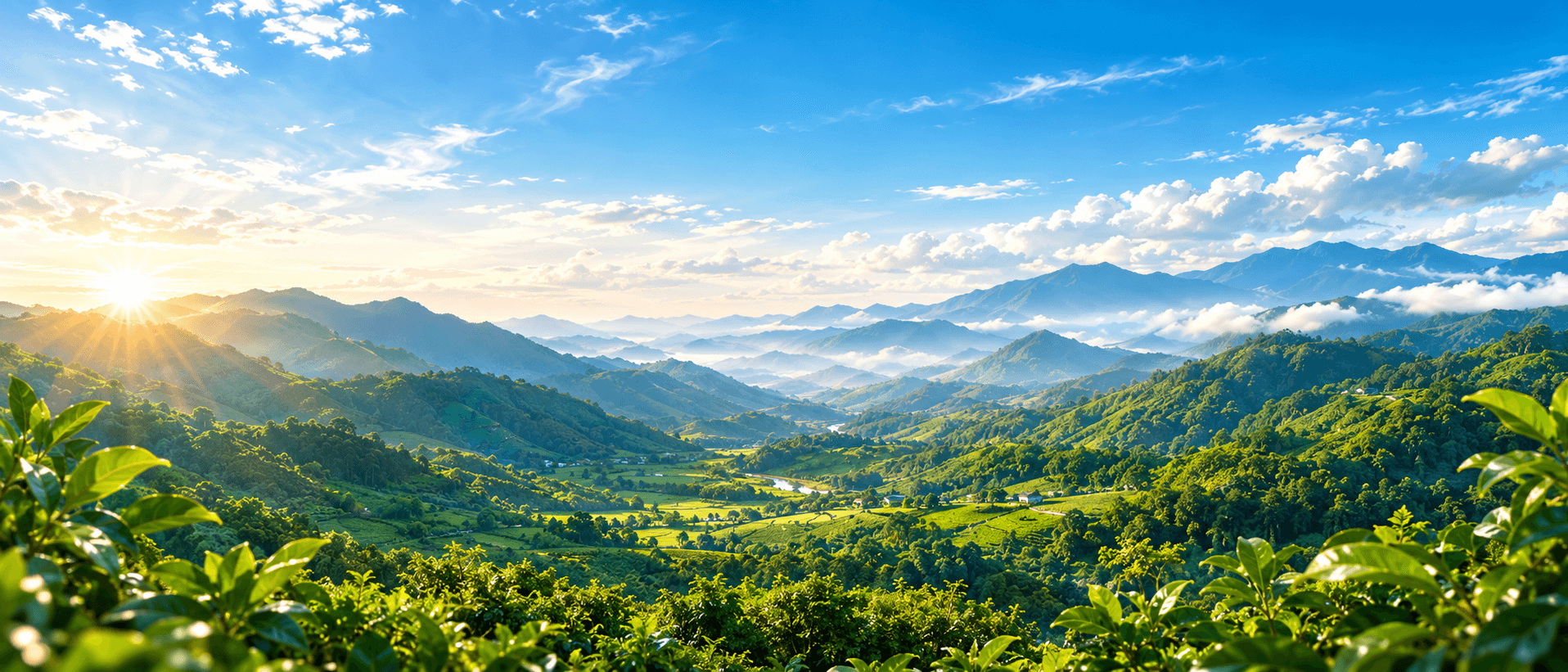 Hãy tạo nên dấu ấn khó quên - VINEX