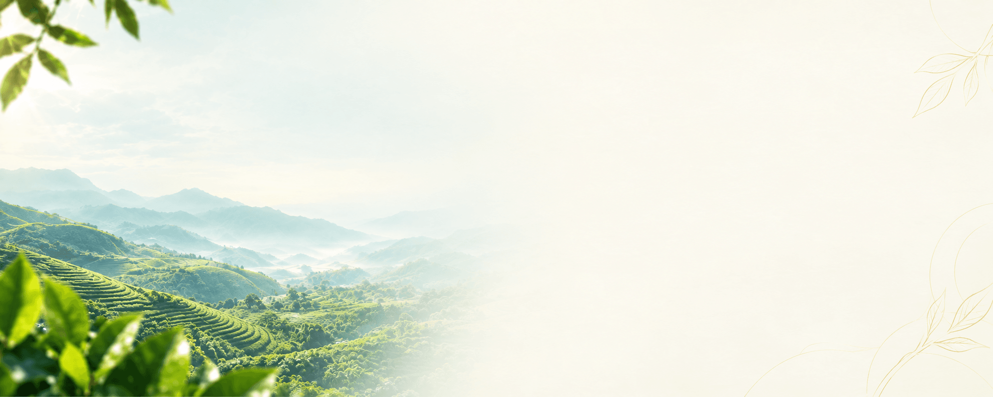 Landscape Background